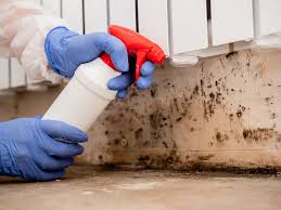 Best Mold Removal for HVAC Installations  in San Pablo, CA